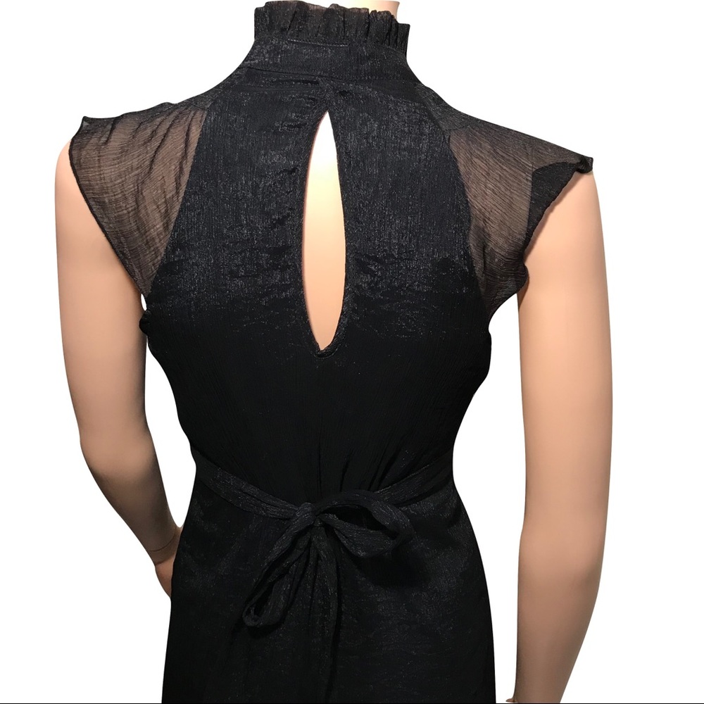 Black Cap Sleeved Semi- Sheer Love Culture Dress - Picture 8 of 8